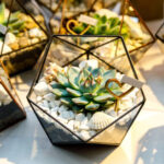 DIY : Comment créer des mini-terrariums avec plantes grasses pour vos invités de mariage ?