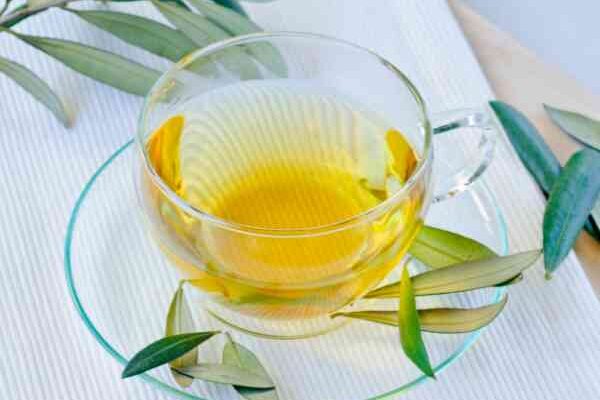 La tisane aux feuilles d'olivier : bienfaits et recommandations