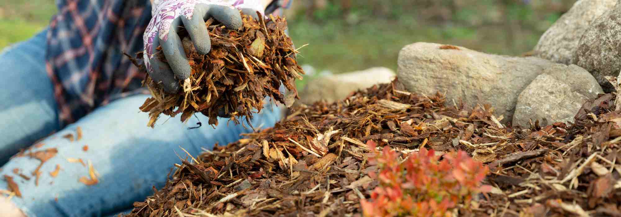 Comment bien mettre en place le paillage ?