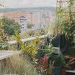 Aménager un balcon orienté au nord