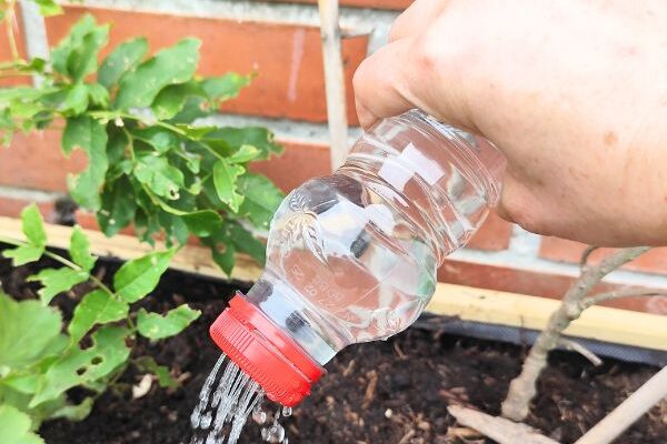 Zéro déchet : Comment fabriquer un arrosoir avec une bouteille plastique ?