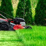 À quelle fréquence faut-il tondre la pelouse ?