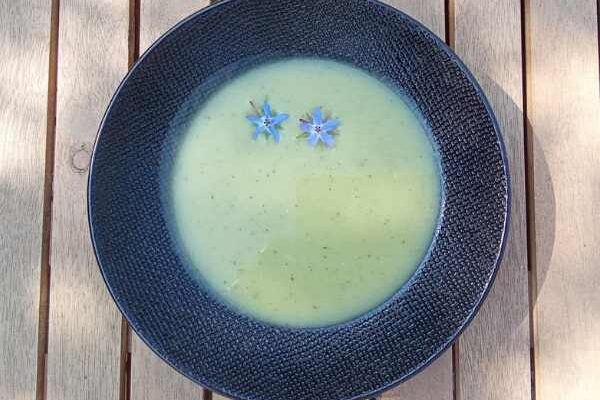 La soupe aux feuilles de bourrache : une recette simple et savoureuse