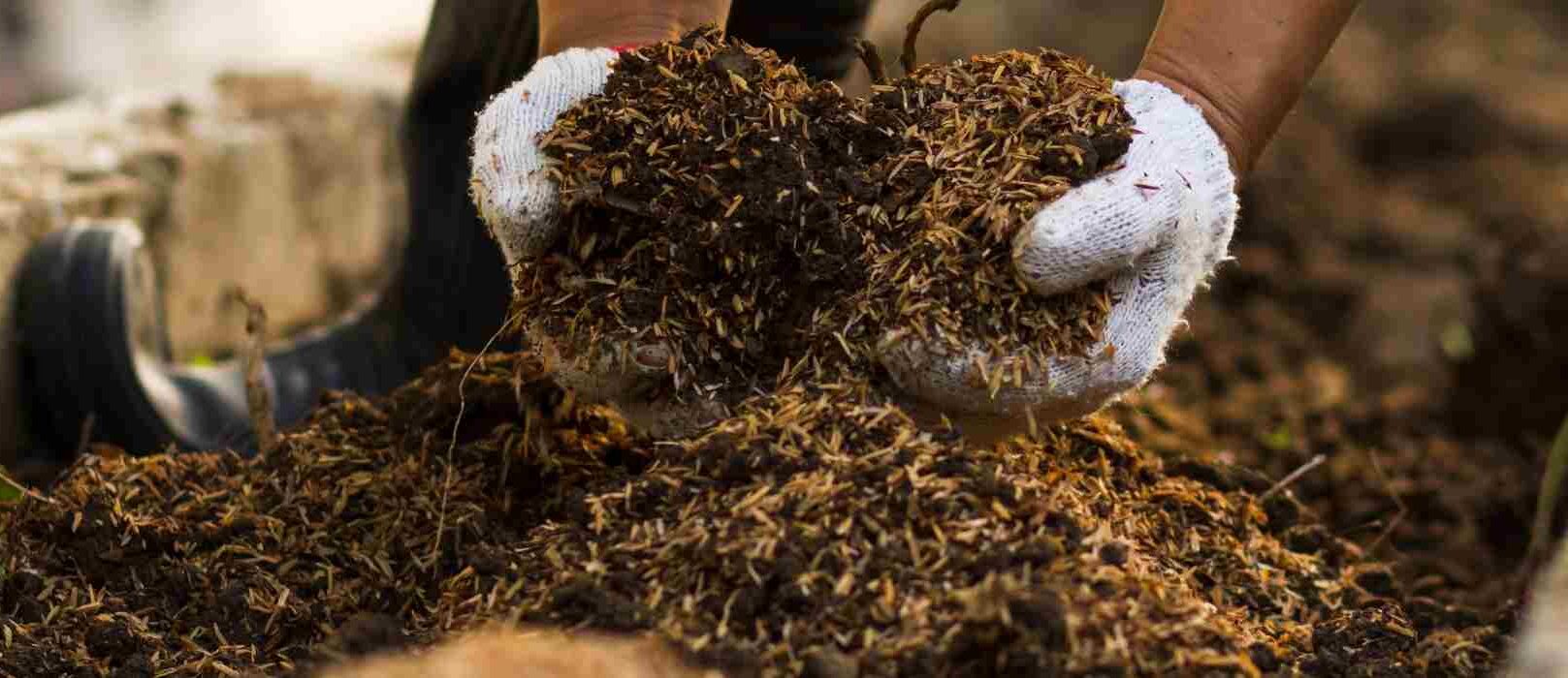 Comment savoir si mon compost est mûr