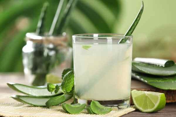 Beauté, cuisine : comment récolter et utiliser l’aloe vera ?