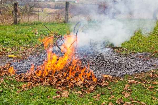 Qu'a-t-on le droit de faire ou de ne pas faire dans son jardin ?