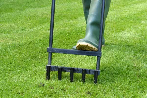 Comment aérer sa pelouse : pas à pas pour un gazon sain