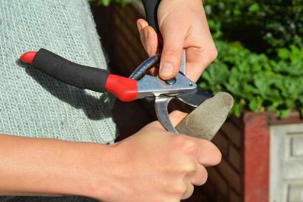 Comment bien aiguiser son sécateur ?