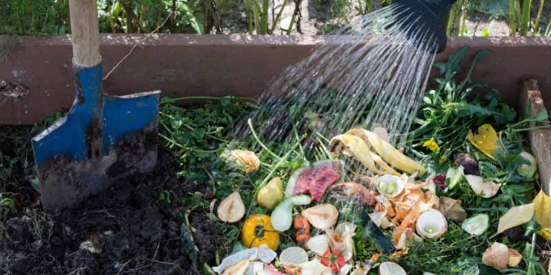 Arrosage compost