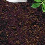 La préparation du sol au printemps : les gestes essentiels au jardin