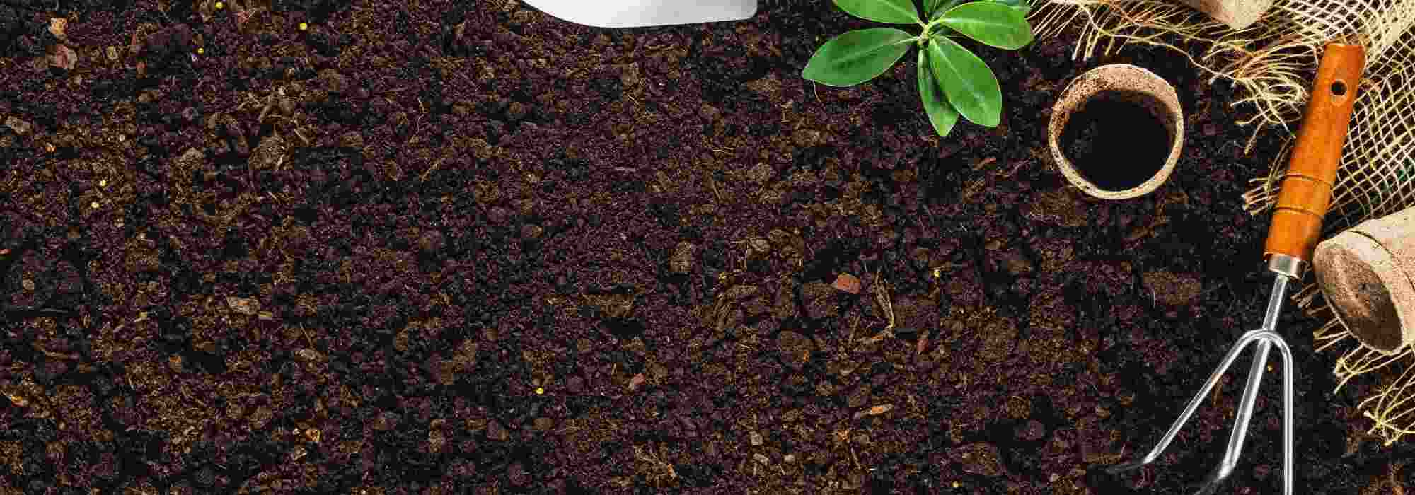 La préparation du sol au printemps : les gestes essentiels au jardin