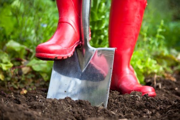 Jardinage débutant : le bêchage, qu’est-ce que c’est ? Comment faire ?