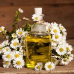 Comment faire de l’huile de camomille : notre tutoriel