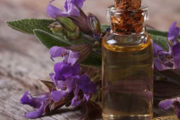 Comment faire de l'huile de sauge maison : notre tutoriel