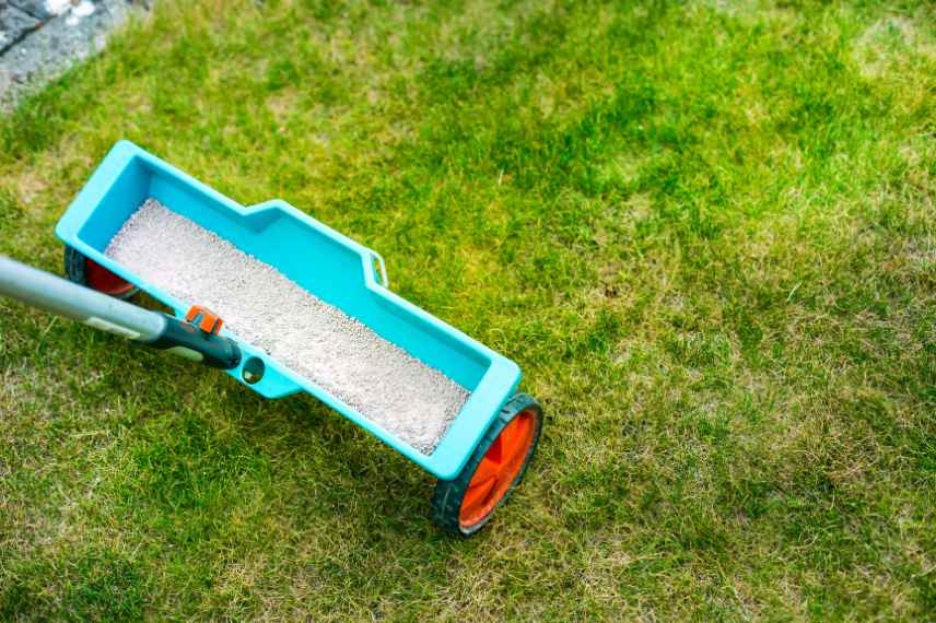 fertiliser le gazon au printemps pourquoi comment