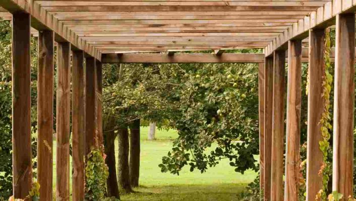 Le bois au jardin : idées et inspirations