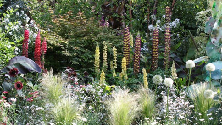 Eden fantasmé : la tendance jardin la plus immersive de 2025