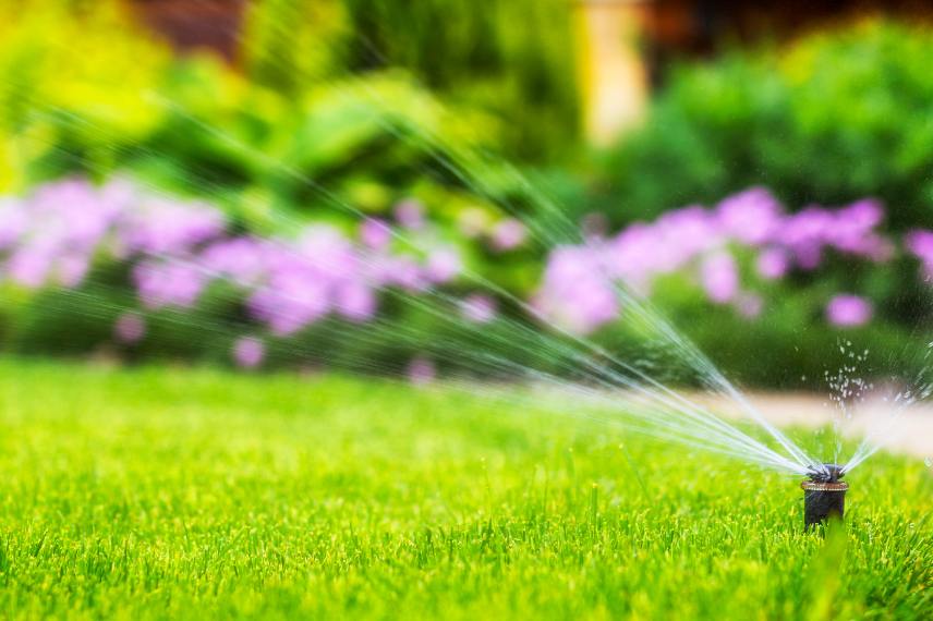 watering the lawn
