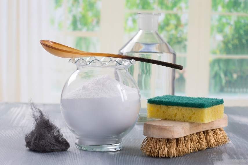bicarbonate de sodium au jardin