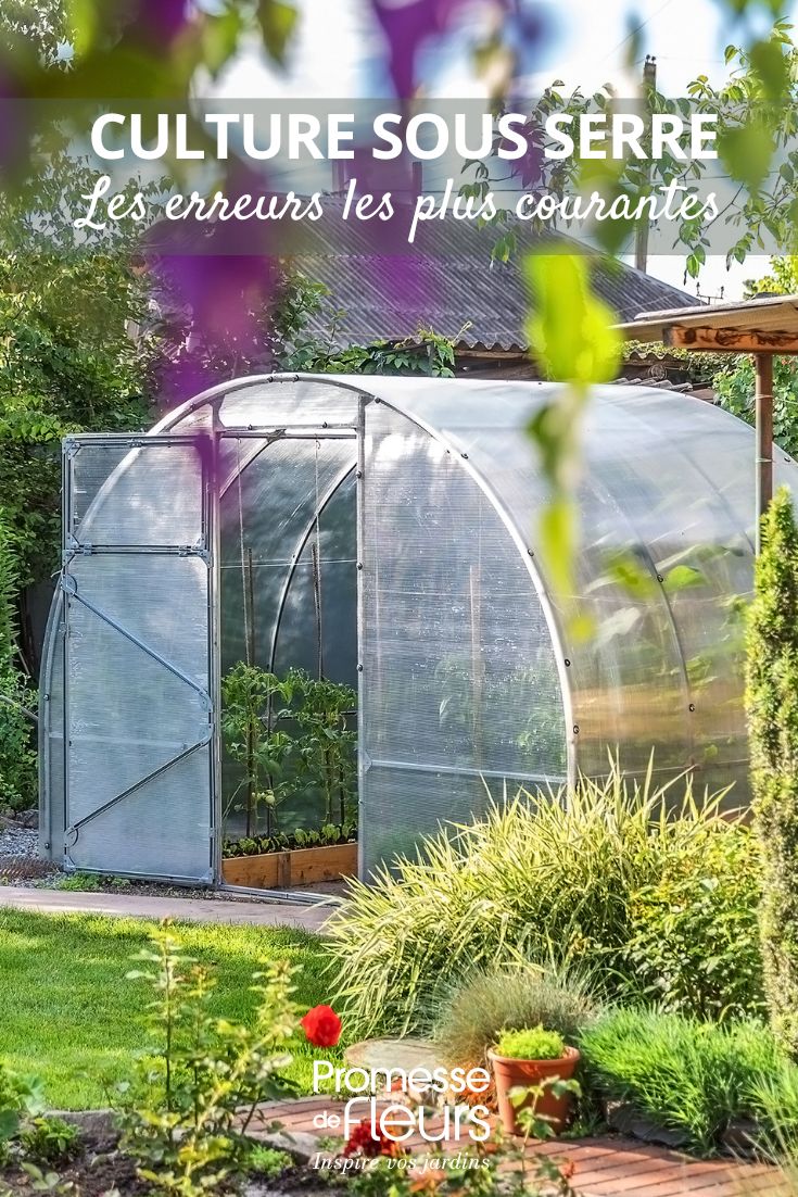 Culture sous serre les erreurs les plus courantes plantation en serre, les bonnes pratiques et les bons gestes