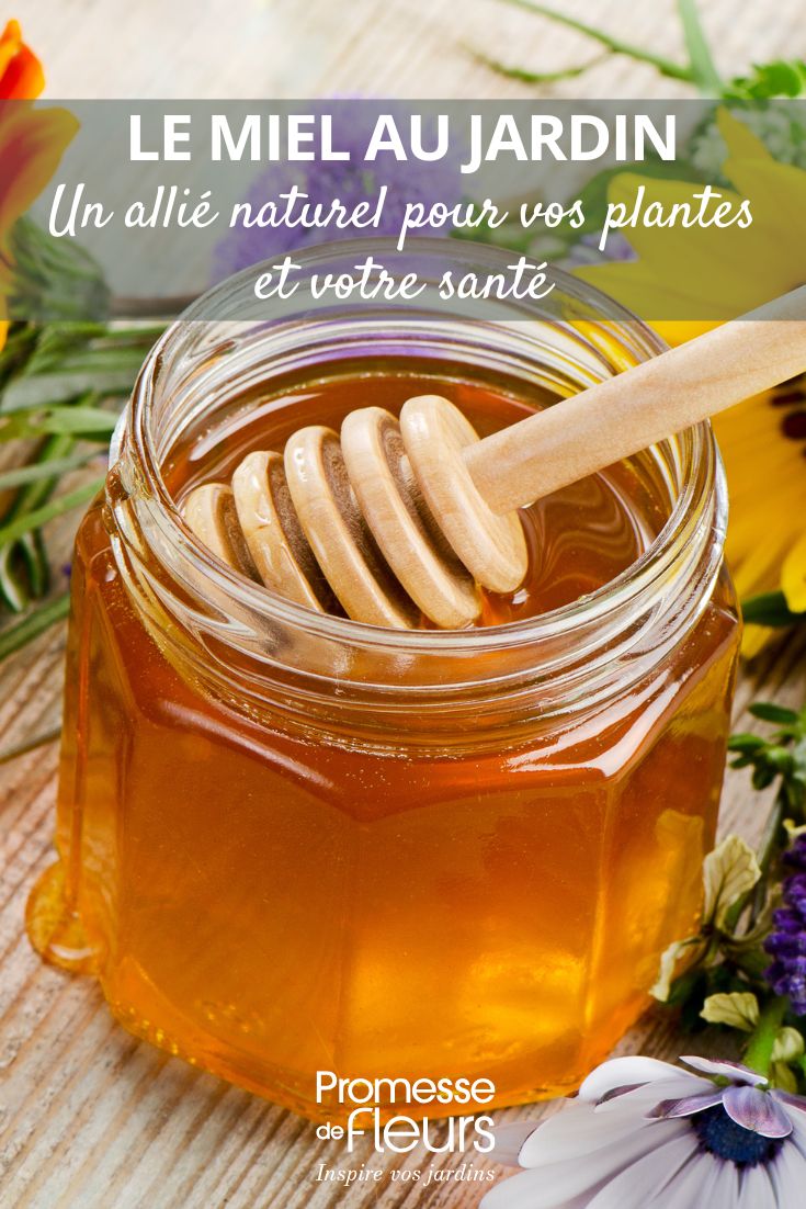 Le miel au jardin un allié naturel pour vos plantes et votre santé l'utilisation du miel au jardin