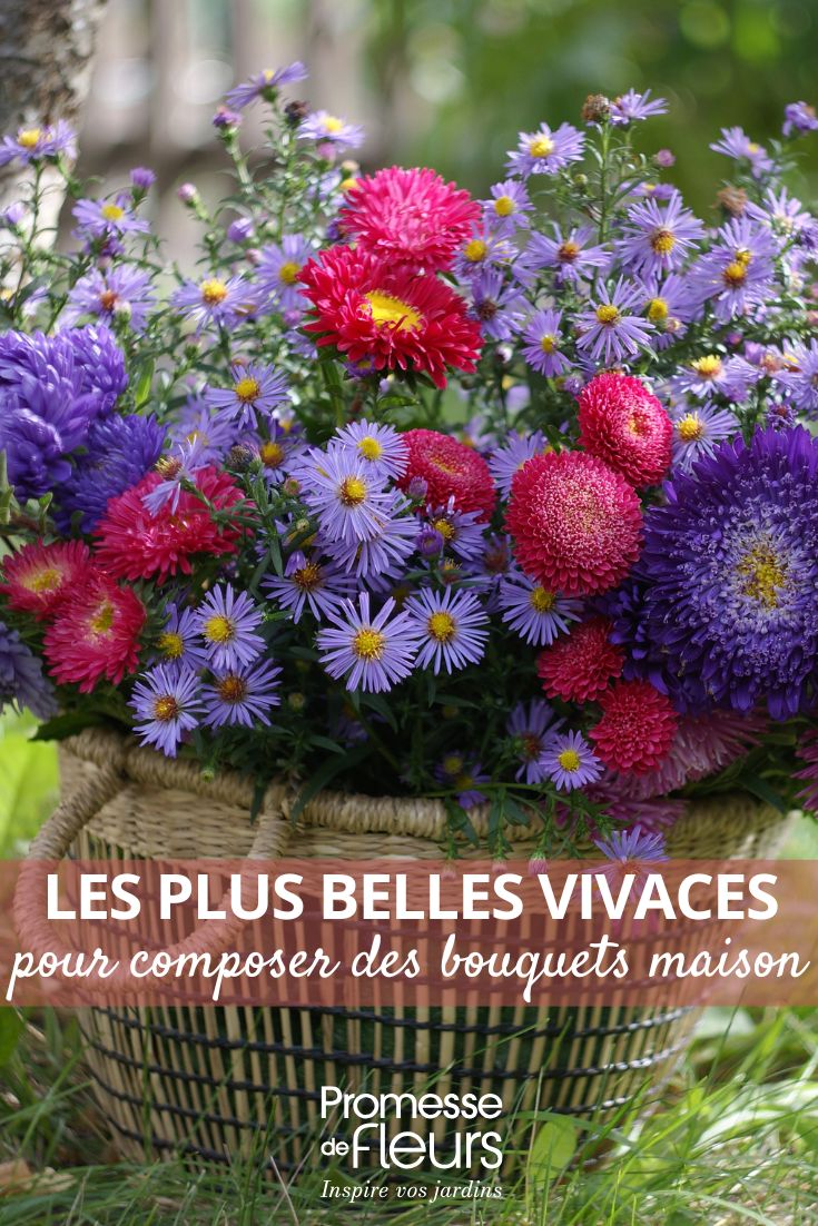 Les plus belles vivaces pour composer des bouquets maison (1) DES BOUQUETS DE FLEURS VIVACES
