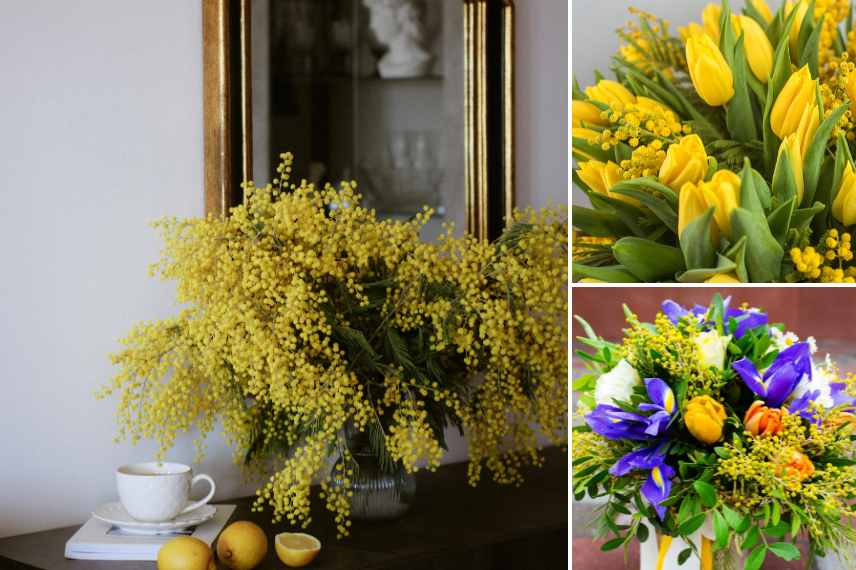 mimosa pour bouquet