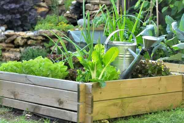 Comment faire des carrés potagers ?
