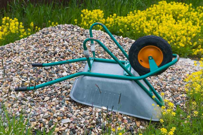 tips to avoid mosquitoes water garden