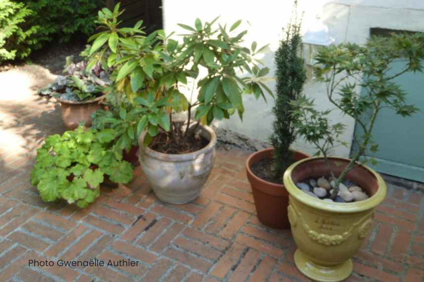 container garden