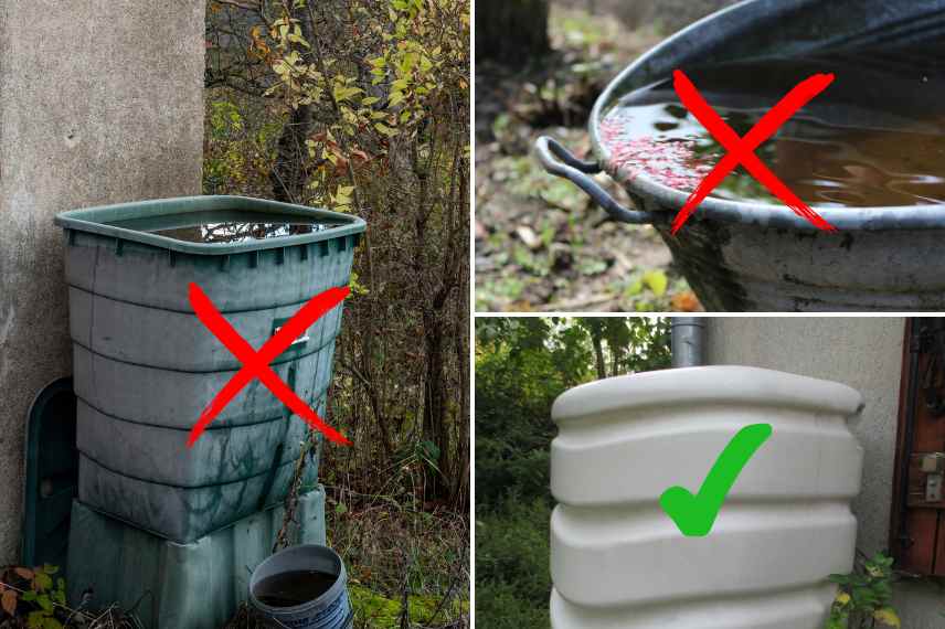 managing rainwater collection and mosquitoes