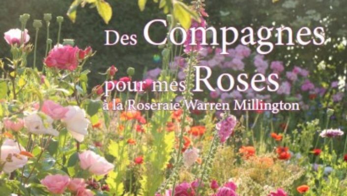 Découvrez "Des compagnes pour mes roses à la roseraie Warren Millington" d'Isabelle Olikier-Luyten
