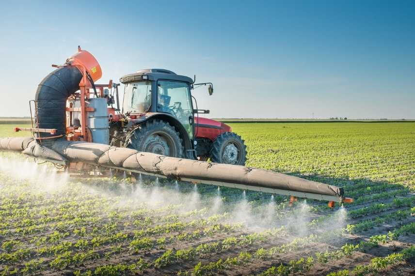 potager près d'un champ agricole : danger