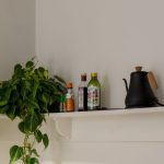 Plantes d’intérieur pour la cuisine : nos variétés idéales et nos astuces pour décorer cet espace