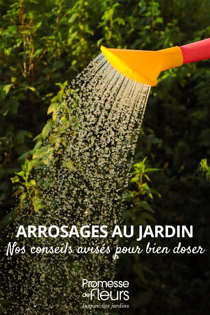 Bien doser ses arrosages au jardin nos conseils avisés Comment arroser sans noyer vos plantes ?