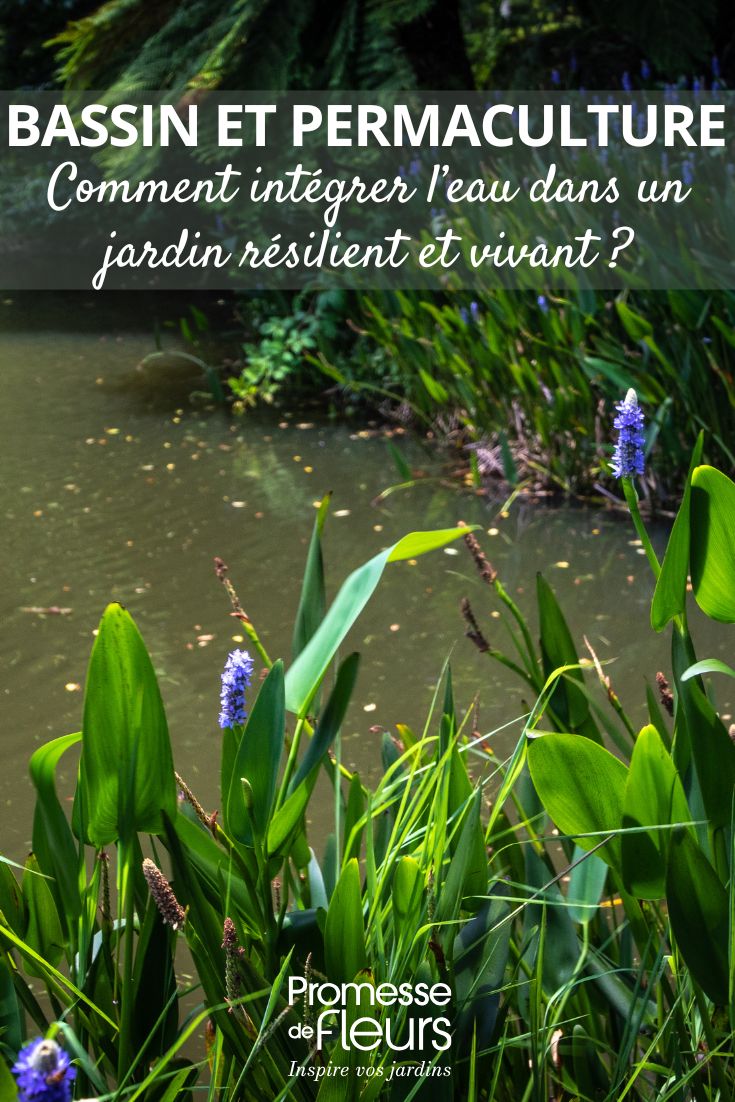 Copie de Quels fuchsias choisir pour une culture en pleine terre un bassin en permaculture