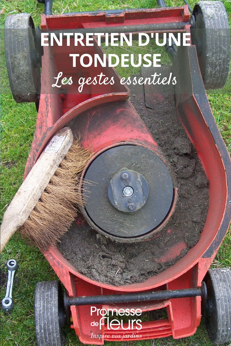 Entretien d'une tondeuse les gestes essentiels les gestes et conseils pour l'entretien de la tondeuse de jardin