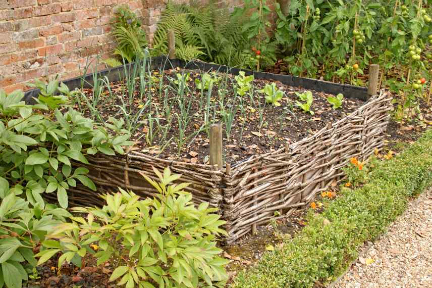 plessis osier potager