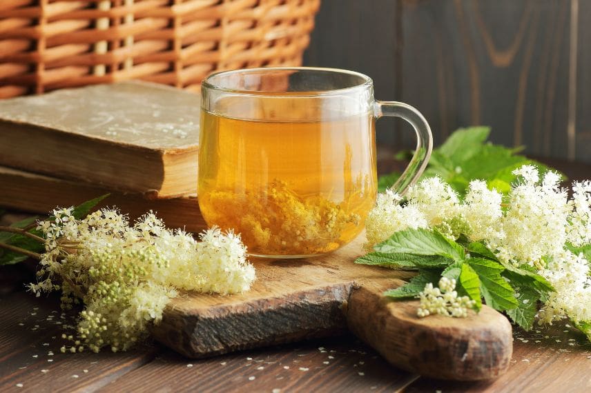 Tisane de reine des près