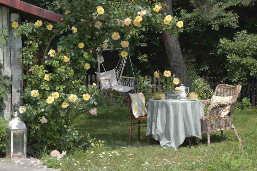integrer osier au jardin champetre campagne