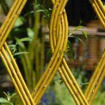 L'osier au jardin : idées et inspirations