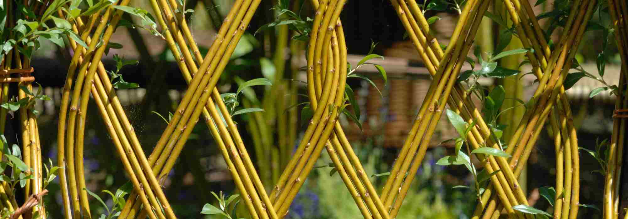 L'osier au jardin : idées et inspirations