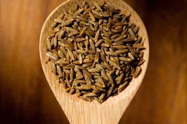 Comment récolter et conserver les graines de cumin ?