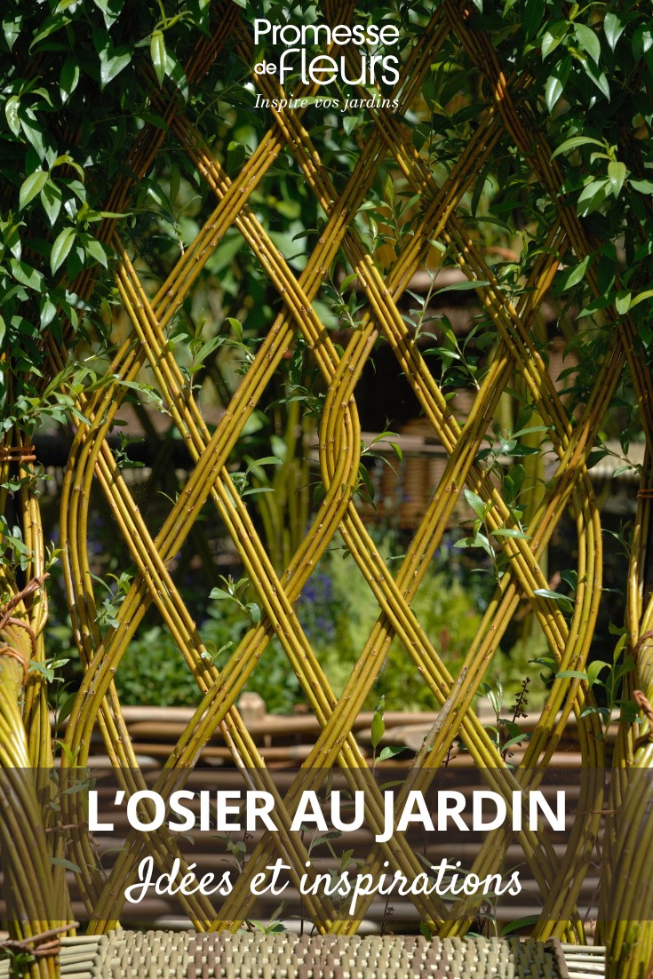 L-osier-au-jardin-Idees-et-inspirations Les utilisations de l'osier au jardin