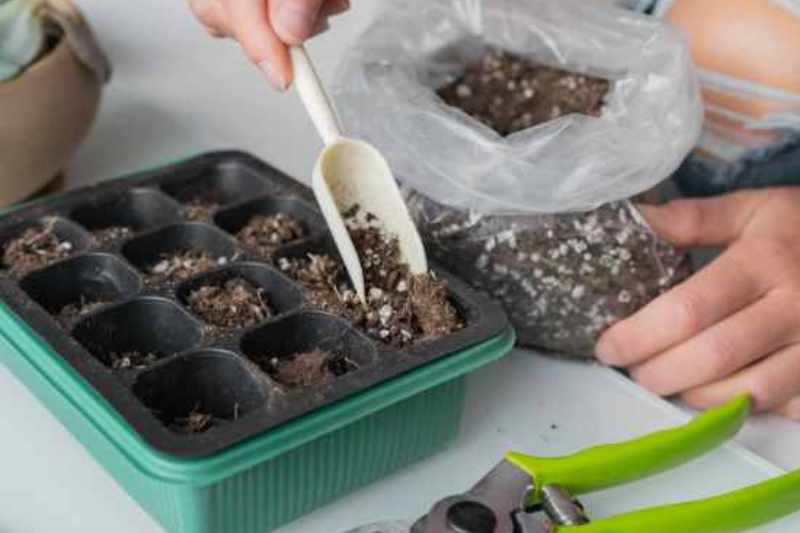 equipment for propagation of houseplants