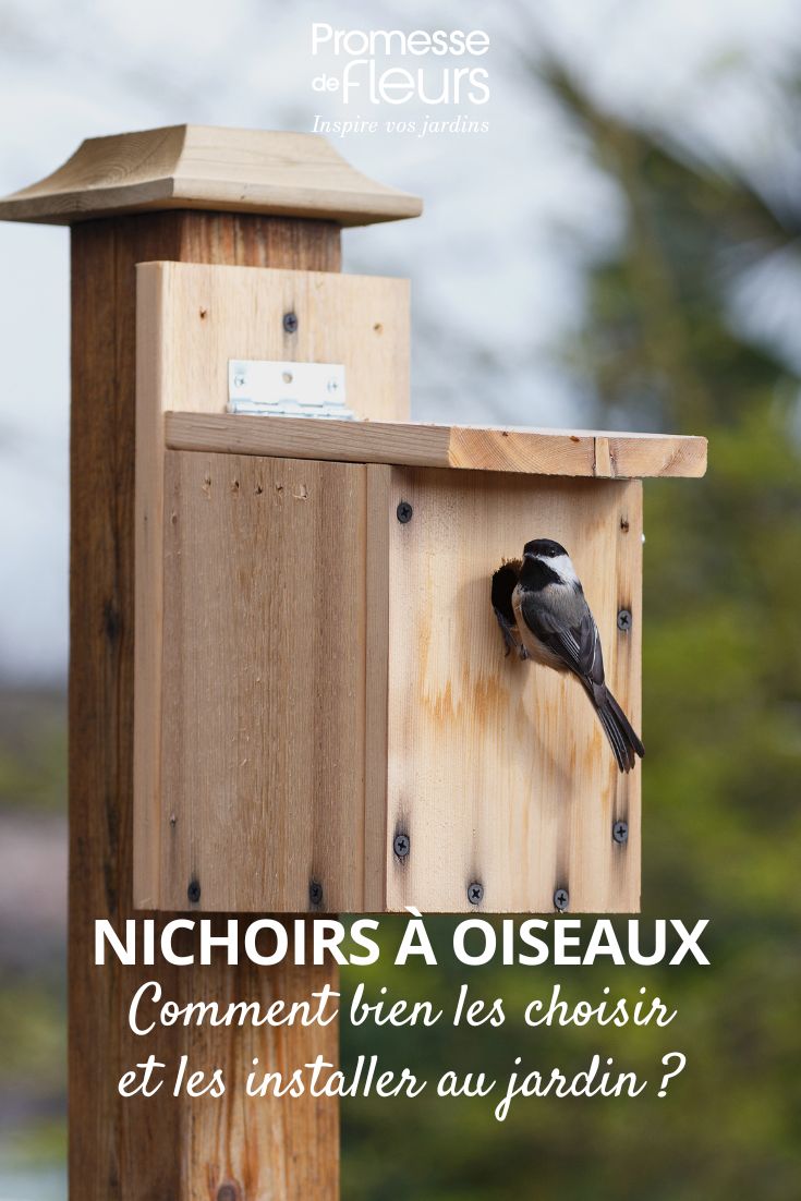 Nichoirs à oiseaux comment bien les choisir et les installer au jardin (1) un nichoir à oiseaux