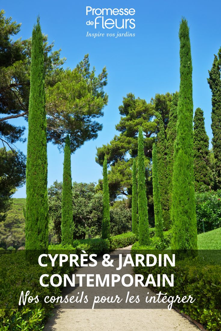 Comment intégrer des cyprès dans un jardin contemporain