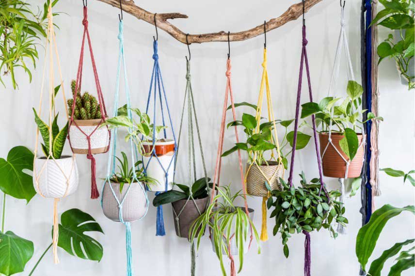 Plantes d'intérieur suspension macramé