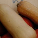 Butternut vs potimarron : quelles différences au potager et en cuisine ?