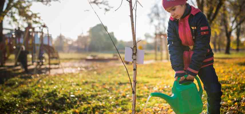 pourquoi arroser a la plantation